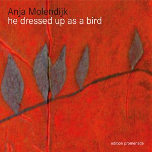 Cover Anja Molendijk He Dressed up like a bird