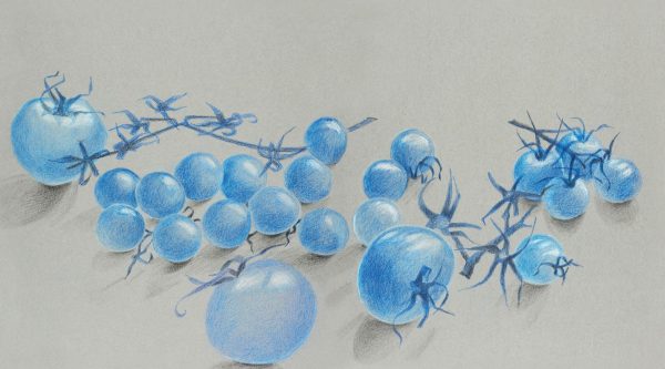 Blaue Tomaten Lust am Zeichnen von Gesa Will Kategorie Fachbücher, Künstlerbücher Verlag edition promenade Sortiment